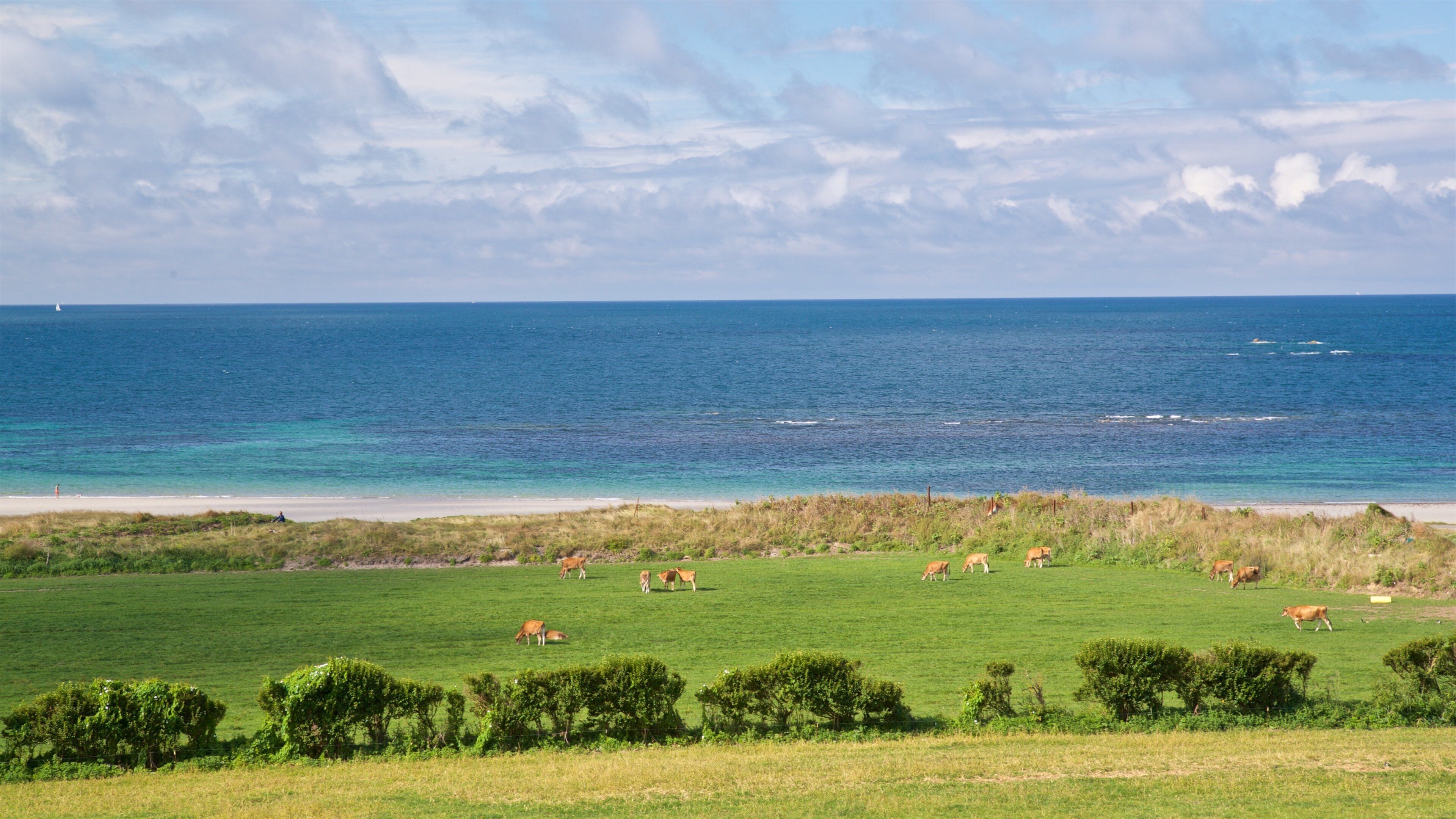 St Ouen showing landscape views, general coastal views and farmland
