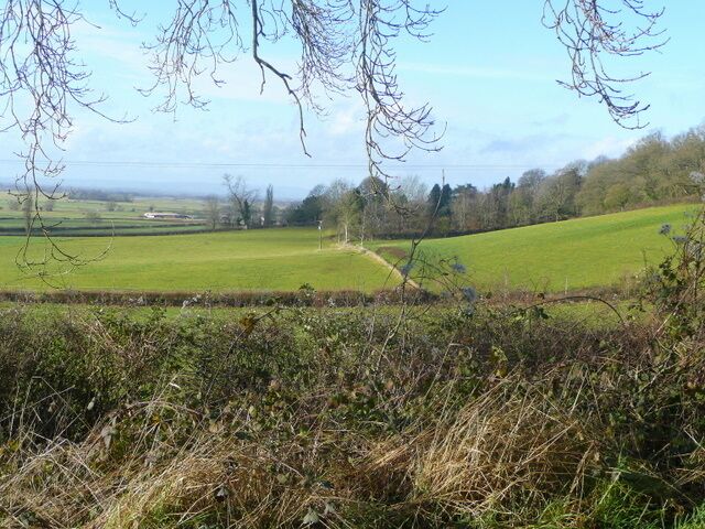 View to Pages Hill Looking west from the B3151 at Collard Hill.