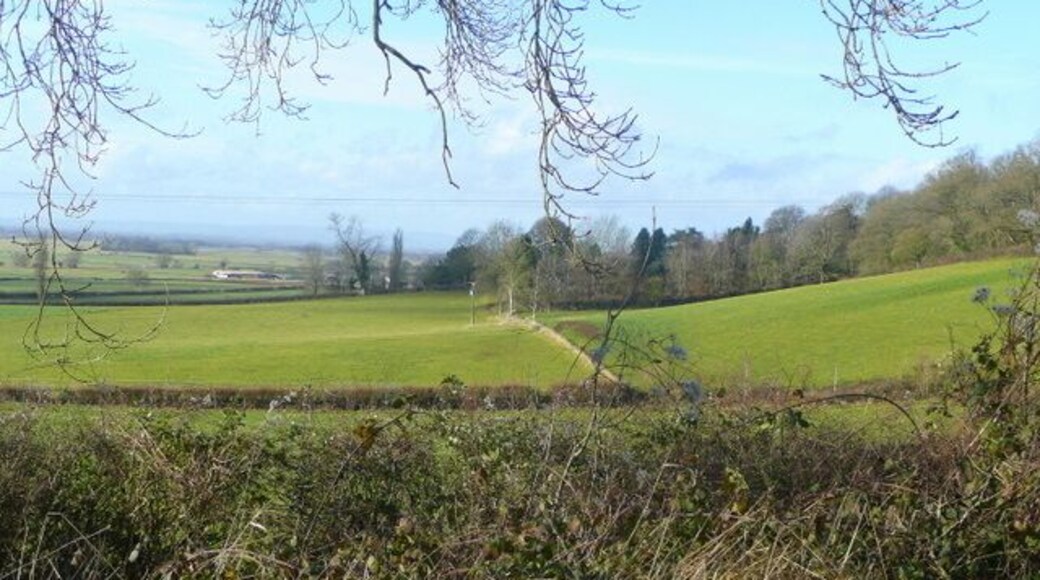 View to Pages Hill Looking west from the B3151 at Collard Hill.
