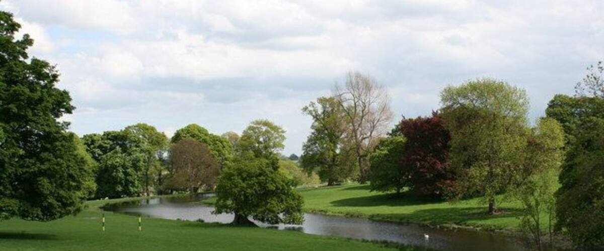 A serene park with a pond, lush green grass, and trees.