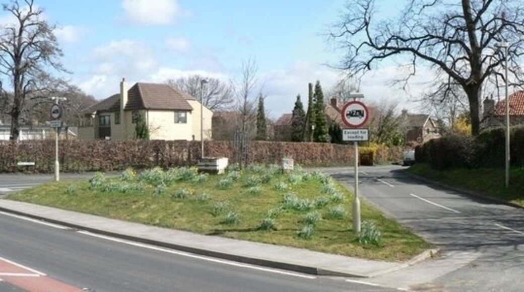 Junction of the A162 (left, front) with Main Street (right, behind), Barkston Ash. The island was covered in daffodils, but a strong wind behind the camera, the blooms are mostly hidden.