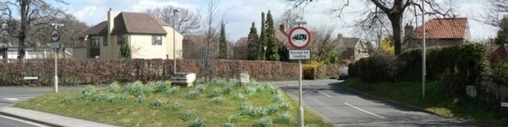Junction of the A162 (left, front) with Main Street (right, behind), Barkston Ash. The island was covered in daffodils, but a strong wind behind the camera, the blooms are mostly hidden.