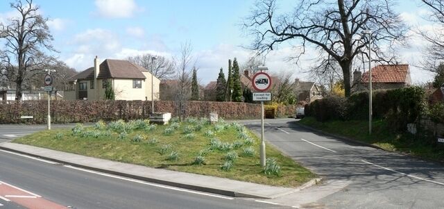 A suburban street with houses, a 'No Parking' sign, and a flower bed.