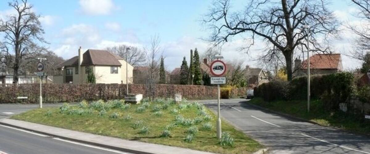 A suburban street with houses, a 'No Parking' sign, and a flower bed.