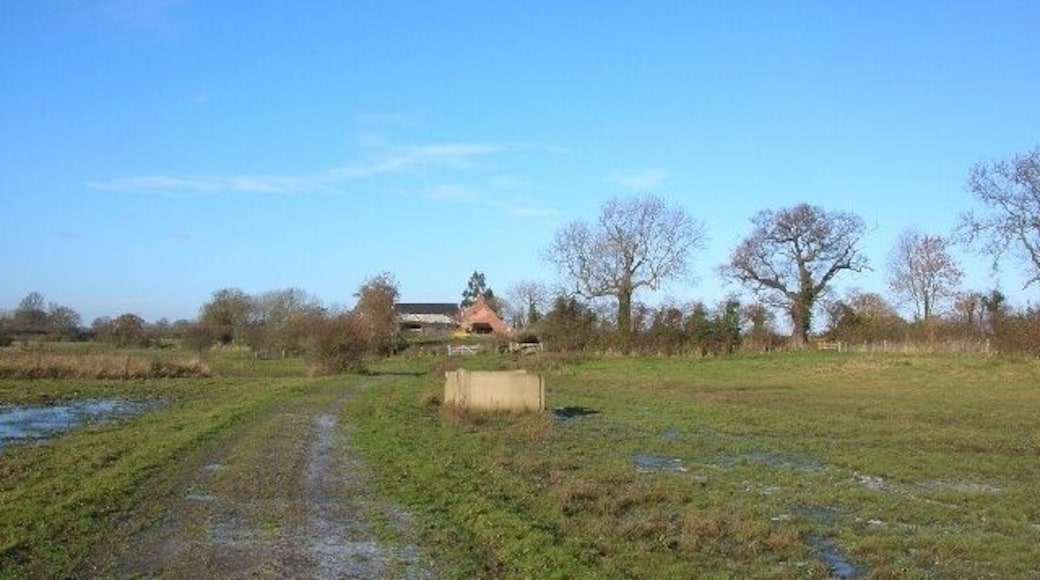 Marsh This whole area is flooded by the Wharfe at times.