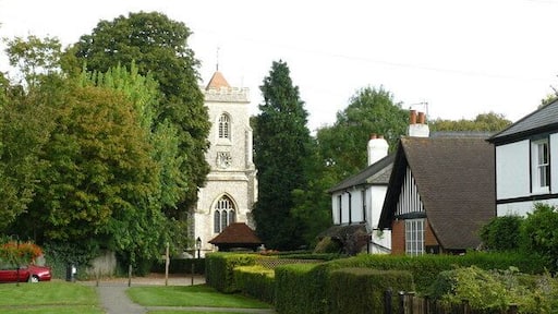 Walton on the Hill View across the village green, with houses of various periods on the right, and the church in the distance.