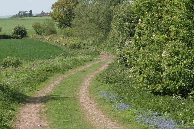 A rural dirt path surrounded by lush greenery and fields.