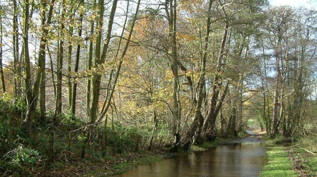 The Ford at Hints This is the point where Rookery Lane crosses Black Brook and the river changes name to Bourne Brook. Nowadays,water only flows along the road after heavy rain. During drier spells, the river follows the original course under the road higher up.