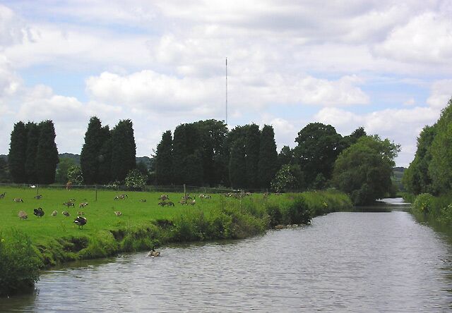 Birmingham and Fazeley Canal north of Bonehill, Staffordshire This is about halfway between Fazeley Junction and Hopwas. The Lichfield Transmission Mast (1001 feet high, 305 metres)is about three km away. It transmits only TV (Channel) Five (analogue) and a few radio channels at present. http://en.wikipedia.org/wiki/Lichfield_transmitting_stationCanada Geese are grazing in the field. It is a pity that such beautiful and friendly birds are having to be culled. The Coventry Canal was started in 1768, and reached Atherstone by 1771, but lack of money meant that although it was planned to end at Fradley Junction, it had still only reached Fazeley by 1790. In the meantime, the Birmingham and Fazeley Canal had been built and used the Coventry Canal's original planned line to Whittington Brook, including the section shown in this and nearby pictures. A further section beyond that (to Fradley) was built by another company, then subsequently purchased by the Coventry company. Consequently this five and a half mile section of the Birmingham and Fazeley Canal (with un-numbered bridges) splits the Coventry Canal (with numbered bridges). Confused?