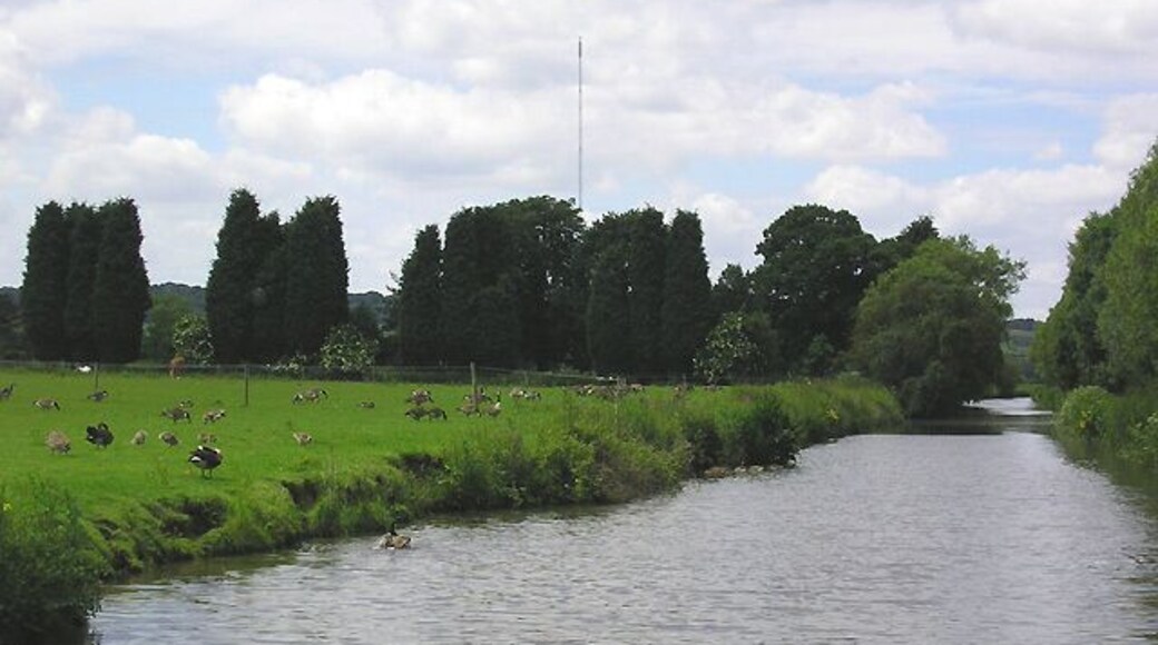 Birmingham and Fazeley Canal north of Bonehill, Staffordshire This is about halfway between Fazeley Junction and Hopwas. The Lichfield Transmission Mast (1001 feet high, 305 metres)is about three km away. It transmits only TV (Channel) Five (analogue) and a few radio channels at present. http://en.wikipedia.org/wiki/Lichfield_transmitting_stationCanada Geese are grazing in the field. It is a pity that such beautiful and friendly birds are having to be culled. The Coventry Canal was started in 1768, and reached Atherstone by 1771, but lack of money meant that although it was planned to end at Fradley Junction, it had still only reached Fazeley by 1790. In the meantime, the Birmingham and Fazeley Canal had been built and used the Coventry Canal's original planned line to Whittington Brook, including the section shown in this and nearby pictures. A further section beyond that (to Fradley) was built by another company, then subsequently purchased by the Coventry company. Consequently this five and a half mile section of the Birmingham and Fazeley Canal (with un-numbered bridges) splits the Coventry Canal (with numbered bridges). Confused?