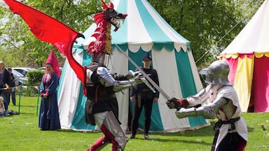 Reencenação medieval com cavaleiros em armadura e um figurino de dragão.