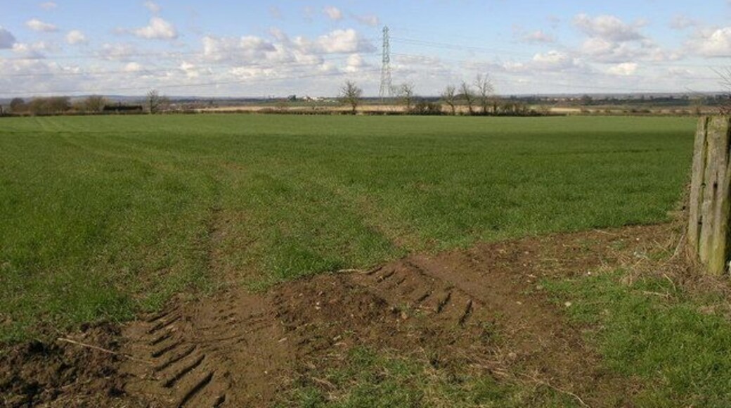 Tyre Tracks and Field. The power station in the distance is at Rugeley some 11 miles away.