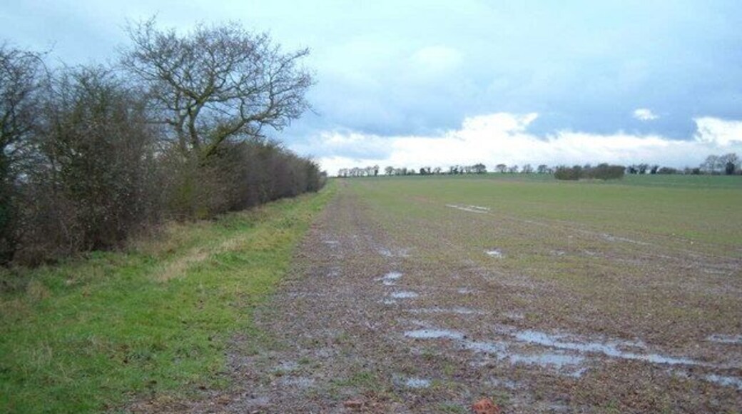 Hogs Hill View across muddy field