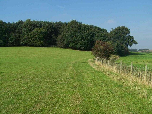 A grassy field with a fence and trees in the background.