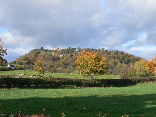 Ein grünes Feld mit Kühen, Herbstbäumen und einem Hügel mit einem Gebäude im Hintergrund.