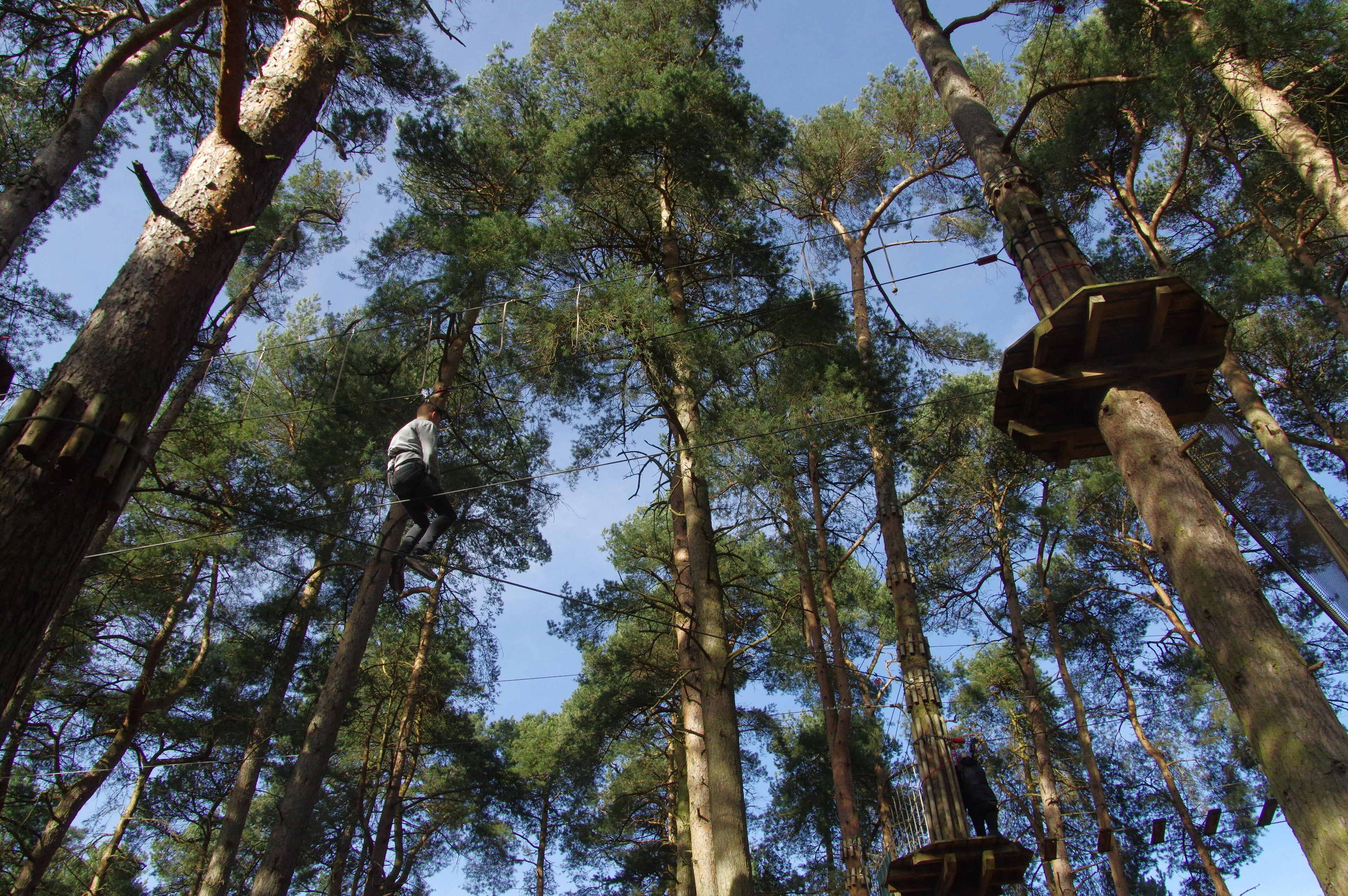 25.3.16 Delamere Forest