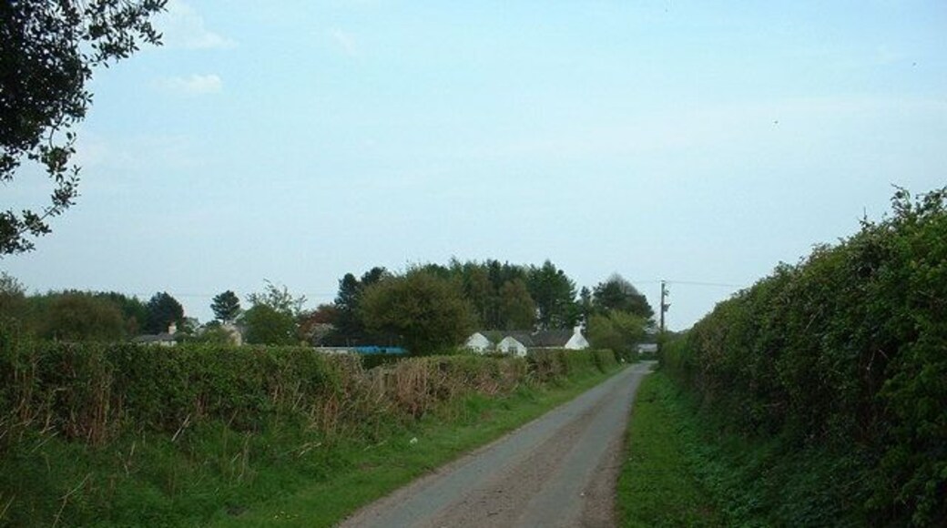 Lane to Sandiford Lodge, near Cotebrook.