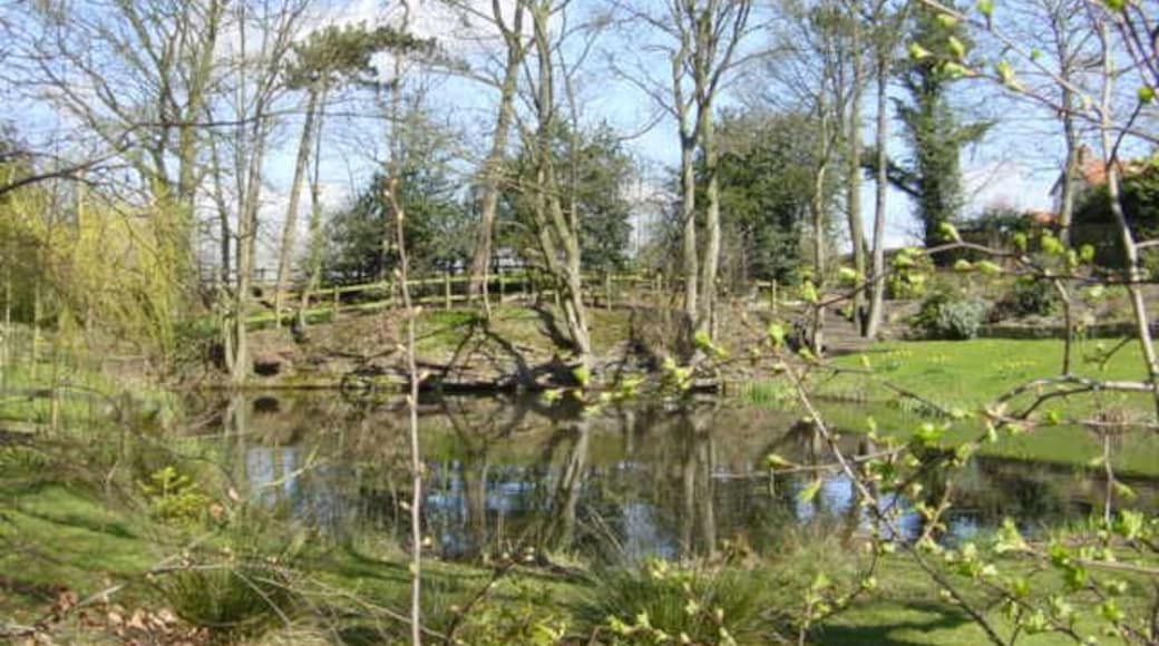 Mill Pond, Waste Lane, Kelsall Mill pond near Delamere Farm on Waste Lane, Kelsall. The old sandstone-built mill has been converted for residential use and the pond is now in their landscaped garden.