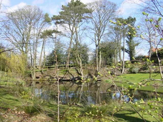 A pond surrounded by trees and a grassy area.