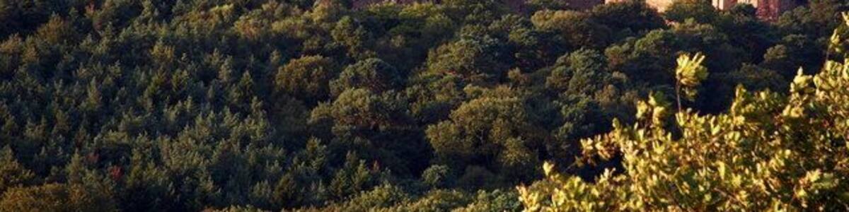 Peckforton and Beeston Castles