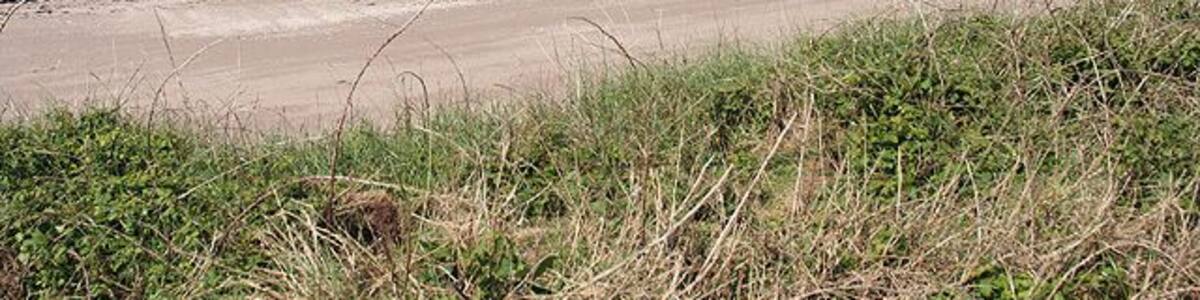 Thurlestone: Bigbury Bay Seen from the coast path looking west-north-west. The end of Burgh Island, way beyond the square, is just visible beyond the first headland