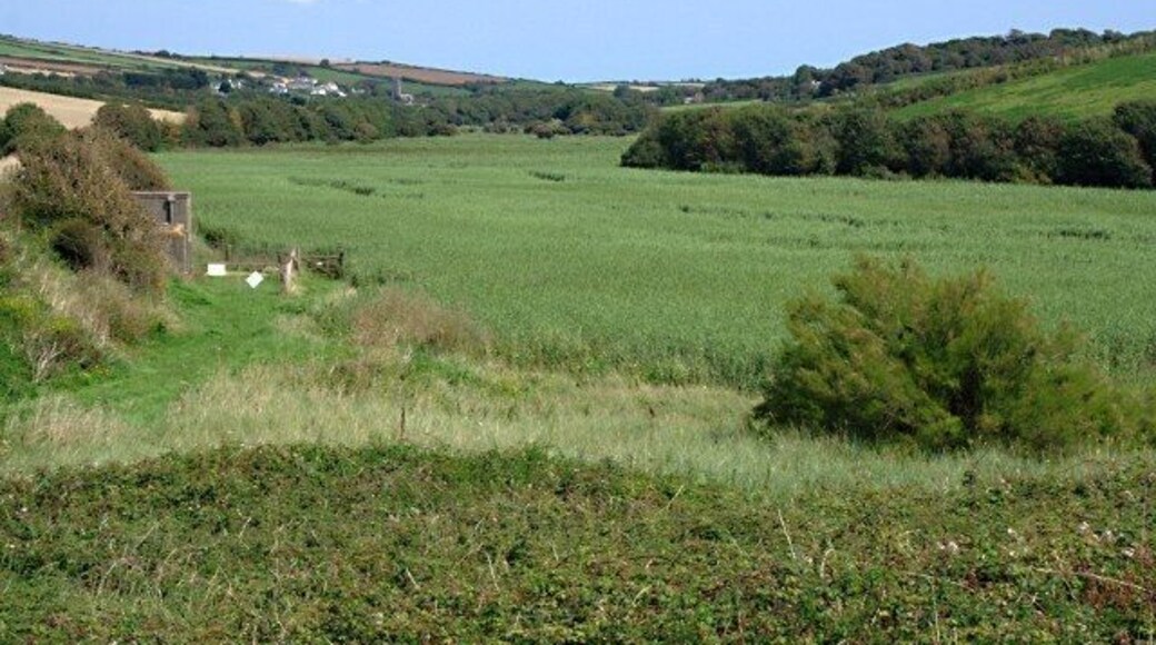 The Marsh Behind South Milton Sands The village of South Milton can be seen in the distance on the left hand valley slope.