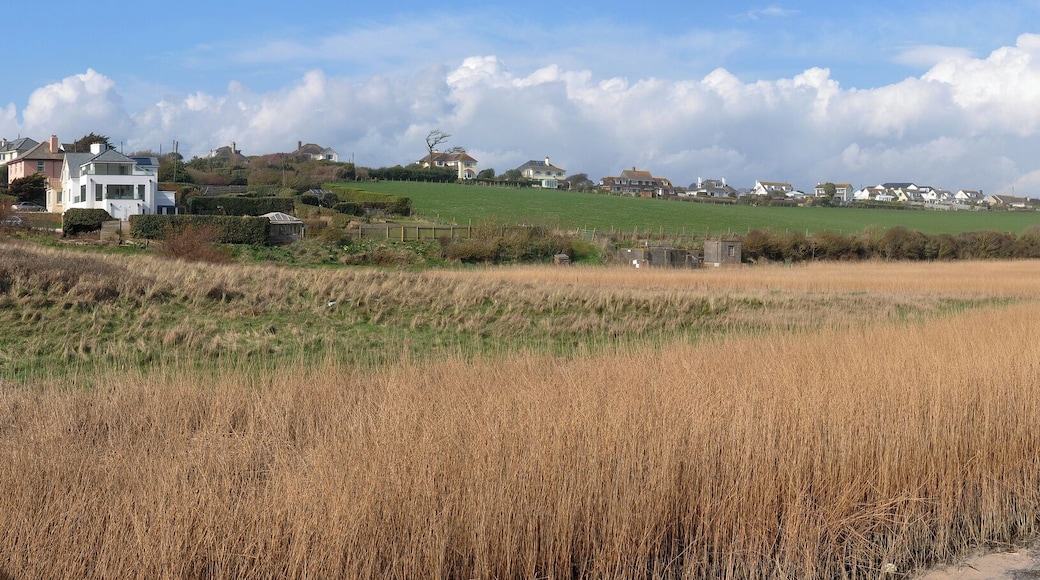 South Milton Ley in the south of Devon, UK. The Ley is a SSSI and is protected from the sea by a sandbar. The photo is taken from the coast path on the footbridge crossing the lower end of the Ley.