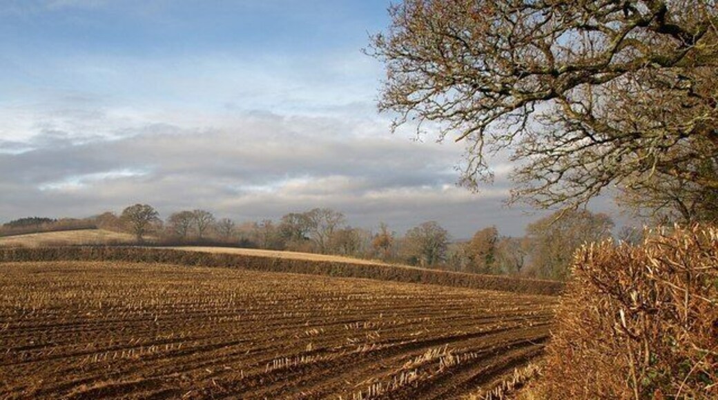 Field at Huxham's Cross A little stubble remains in the field beside the A384 (off to the right). The trees a couple of fields away, along the lane from Huxham's Cross to Willing Cross, are in SX7763.
