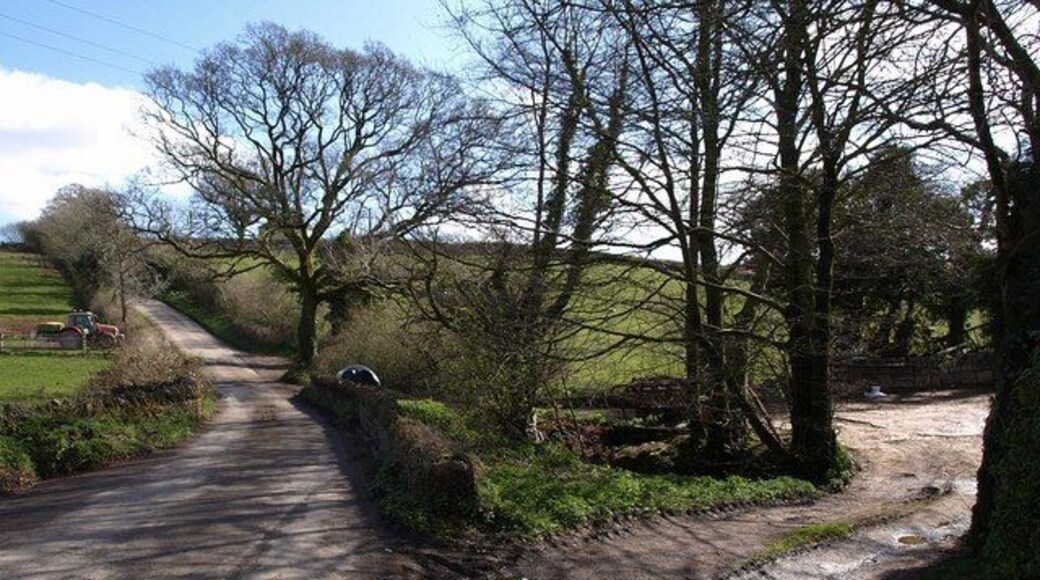 Lane to Halwell. The reverse of the view in 1242358; the lane is teetering along a northing gridline. On the right is an entrance to some farm buildings.