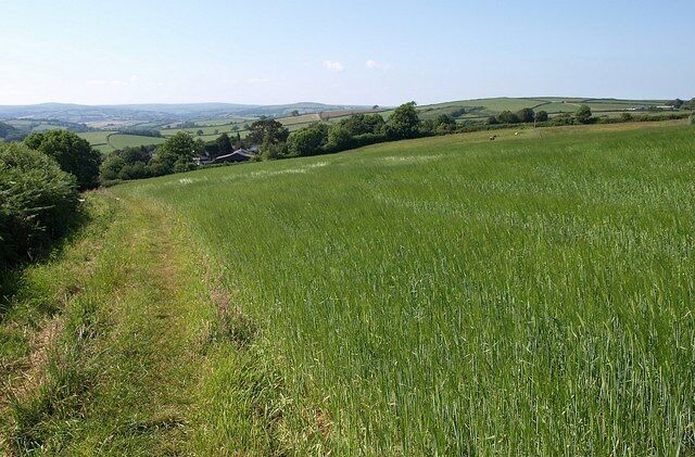 Field above Diptford. Looking along the line of Holsome Lane which continues the line of Diptford Footpath 2 along the edge of the field shown in 1373772. The farm buildings are at Cross Farm.