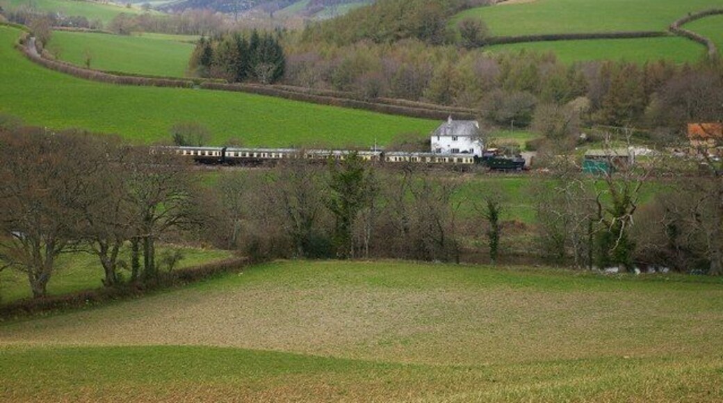 Train approaching Staverton. A GWR Prairie headed train approaching Staverton from Buckfastleigh.