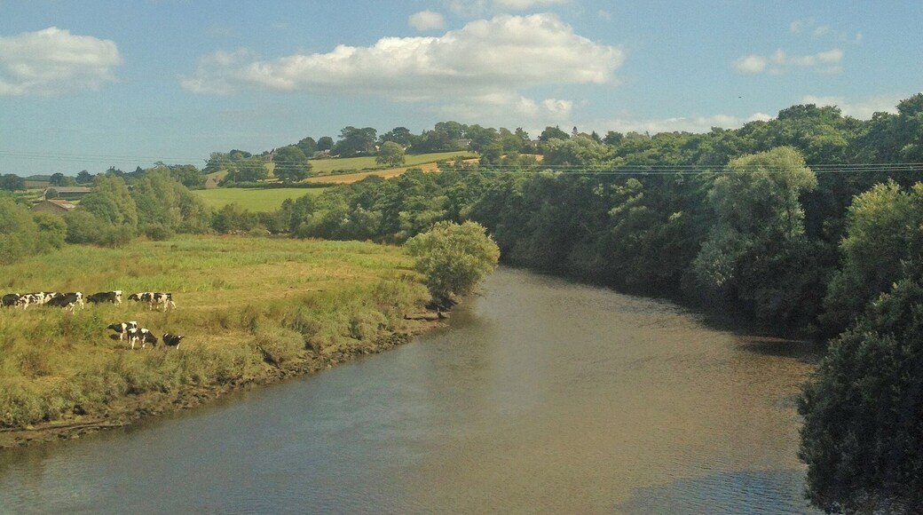 through the train window with a smartphone