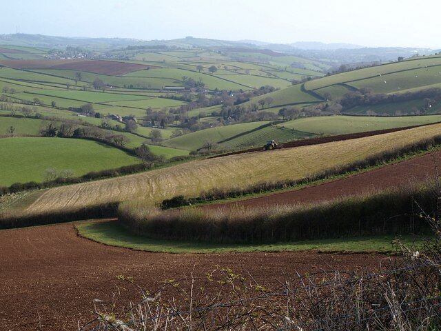 Fields above Bickleigh. From the same point as 1242079, looking more to the right. These fields are in the northeast corner of the square. Beyond, the valley below Bickleigh drops to join the Wash valley near Middle Washbourne in SX7954.