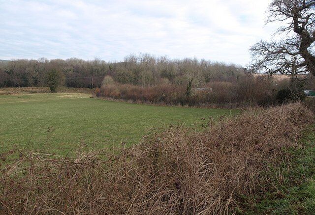 Hedge, field and Harbourne River valley. A view from 1164990 across what is here a gently sloping valley, although it becomes more deeply entrenched downstream. On the left, the trees are hiding a pond occupying the former Hangers Quarry.