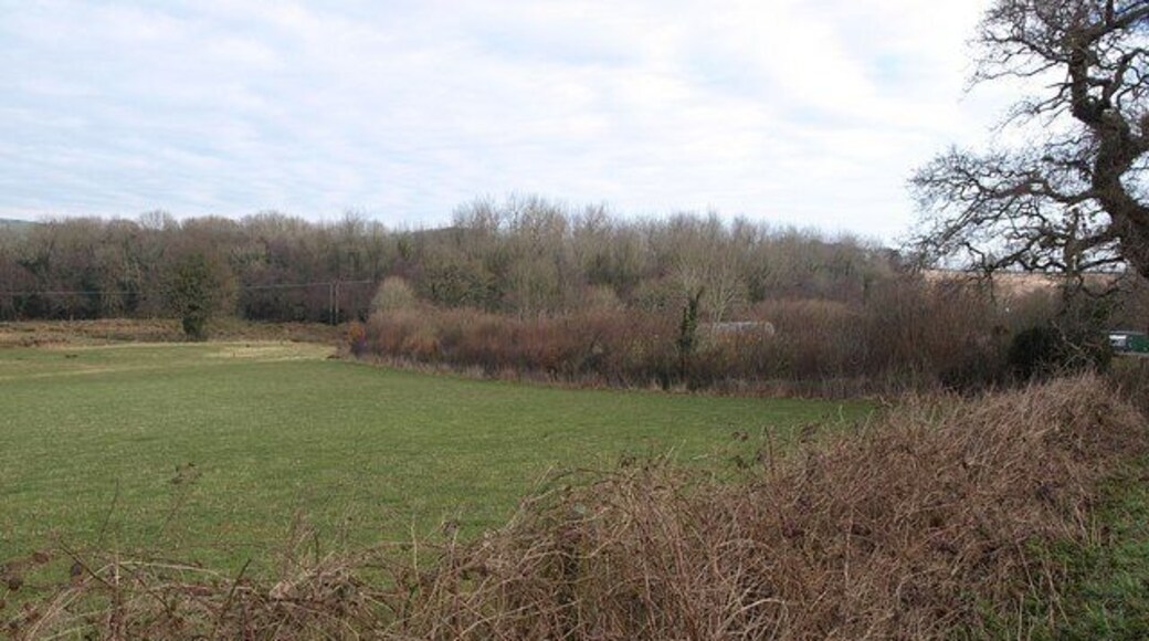 Hedge, field and Harbourne River valley. A view from 1164990 across what is here a gently sloping valley, although it becomes more deeply entrenched downstream. On the left, the trees are hiding a pond occupying the former Hangers Quarry.