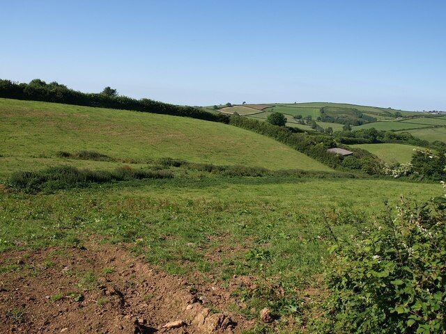 Field near Manor Farm A tiny tributary of the Avon rises in this field, running past the further line of weeds. New Barn, on the right, is just into SX7256.