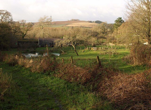 Scene at Forder Green A field and pond at the edge of Broadhempston Community Woodland.