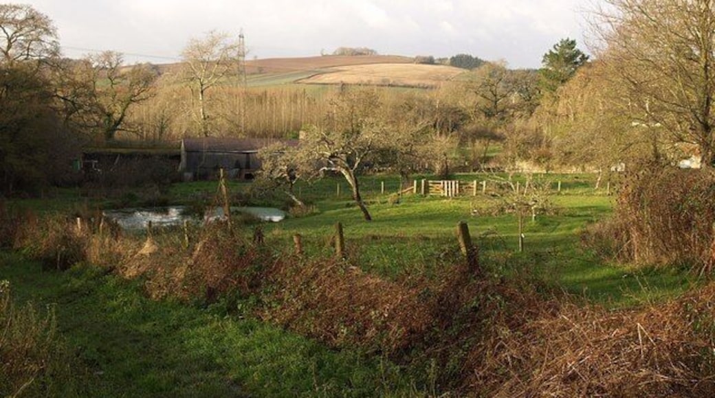 Scene at Forder Green A field and pond at the edge of Broadhempston Community Woodland.