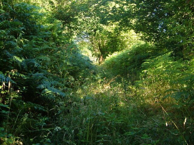 Footpath from Woodford. The footpath north of Woodford up the west side of the Gara valley to Bowden begins by climbing up this track; picturesque but overgrown and steep.
