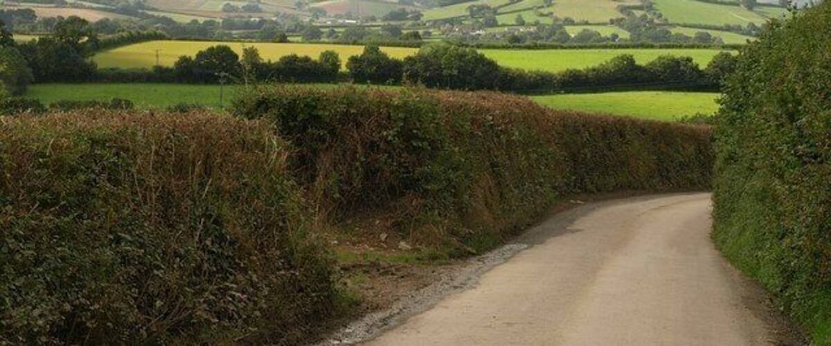 Lane near Broadhempston The lane from Ringswell Cross to Broadhempston gently descends around a hill with views across the South Devon countryside.