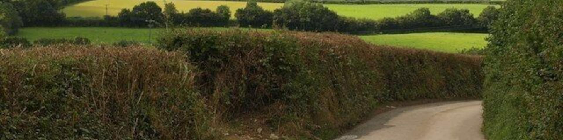 Lane near Broadhempston The lane from Ringswell Cross to Broadhempston gently descends around a hill with views across the South Devon countryside.