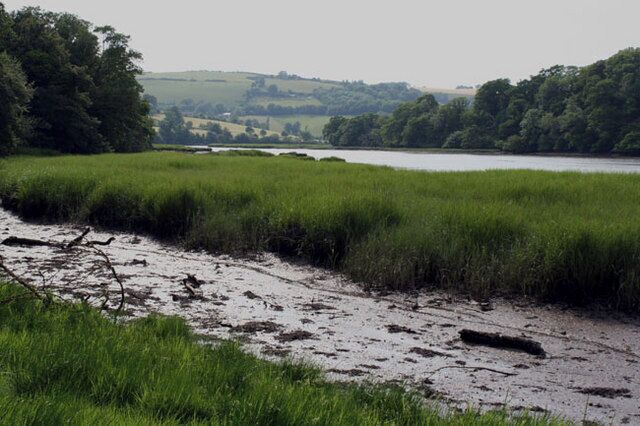 Fleet Mill Reach looking up river from near Sharpham Point towards Totnes.