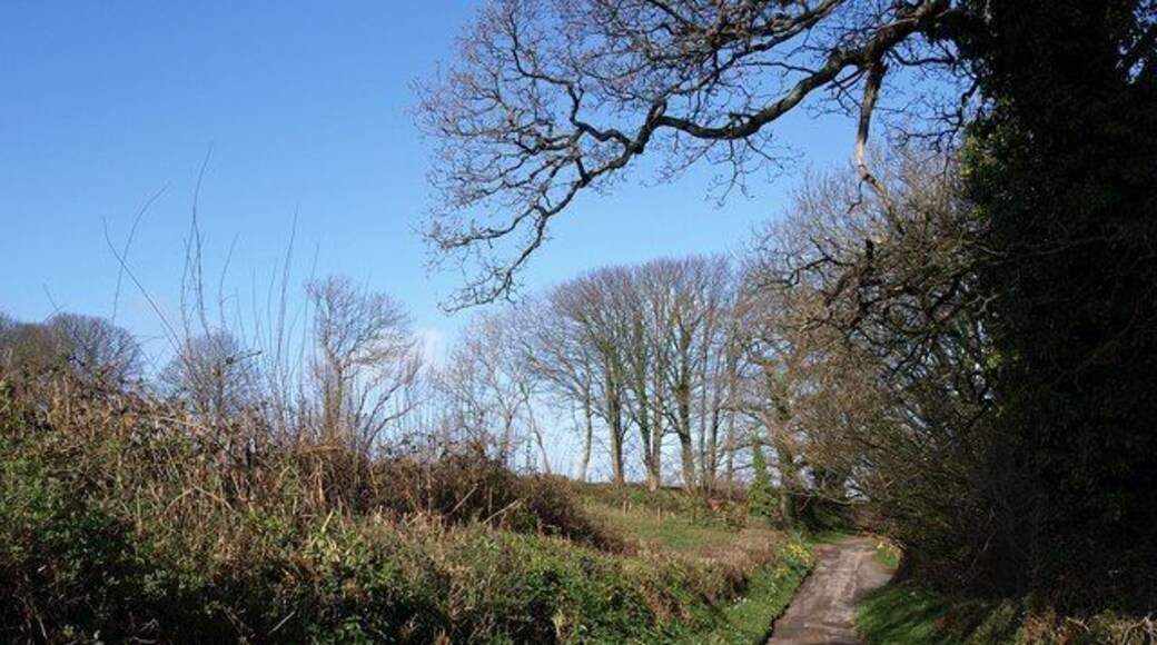 Lane from Bickleigh Farm. Approximately a reverse view of the stretch of lane seen in 1242060.