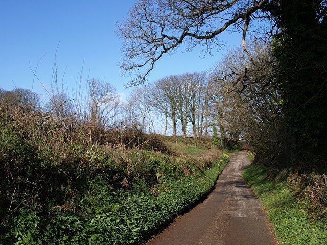 A narrow rural road flanked by dense vegetation and leafless trees.