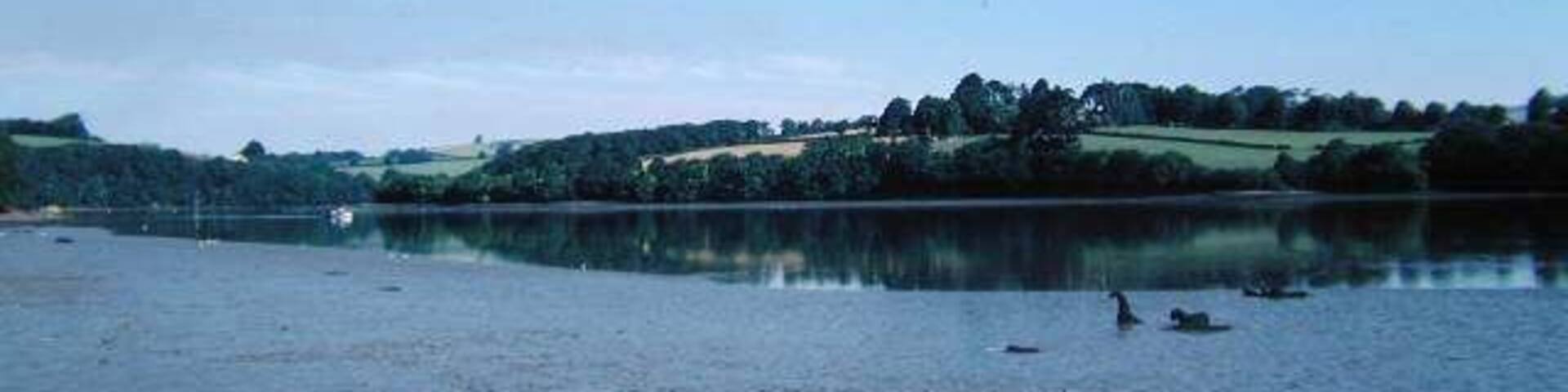River Dart. River Dart with the tide out, taken from the south shore at Whitestone Farm