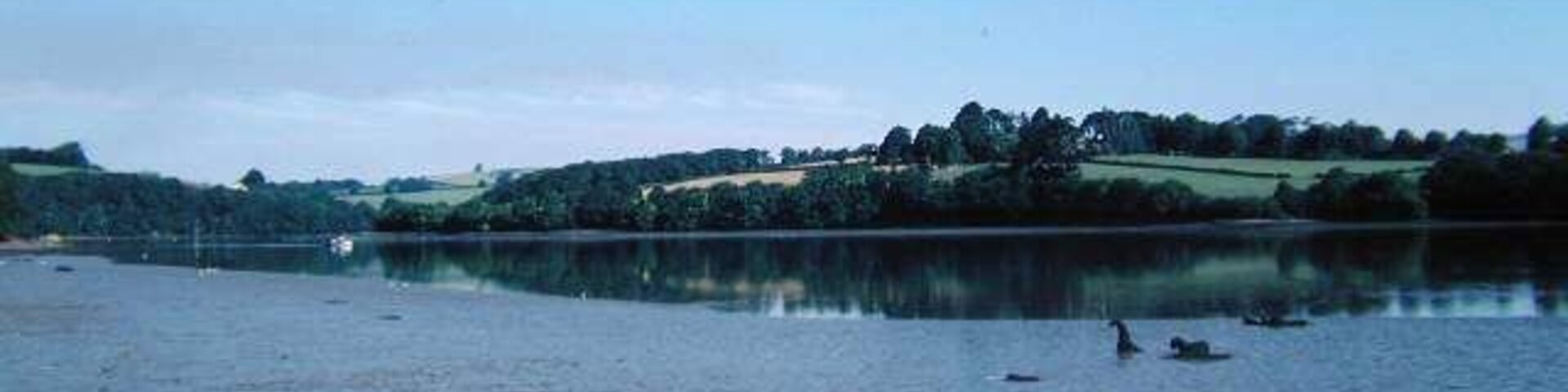 River Dart. River Dart with the tide out, taken from the south shore at Whitestone Farm