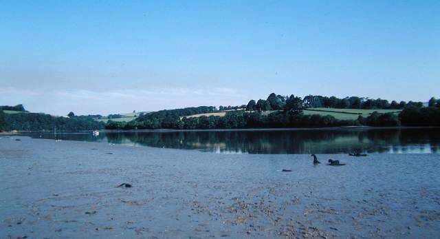 A calm lake with a clear sky, surrounded by green hills and trees.