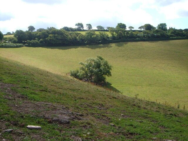 Near Rowden. The lane from which this was taken reappears on the far side of the field, skirting this combe which drops towards the River Wash. The lane continues to the right towards its junction with the A3122 at the Forces Tavern.
