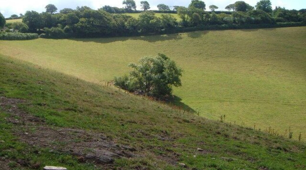 Near Rowden. The lane from which this was taken reappears on the far side of the field, skirting this combe which drops towards the River Wash. The lane continues to the right towards its junction with the A3122 at the Forces Tavern.