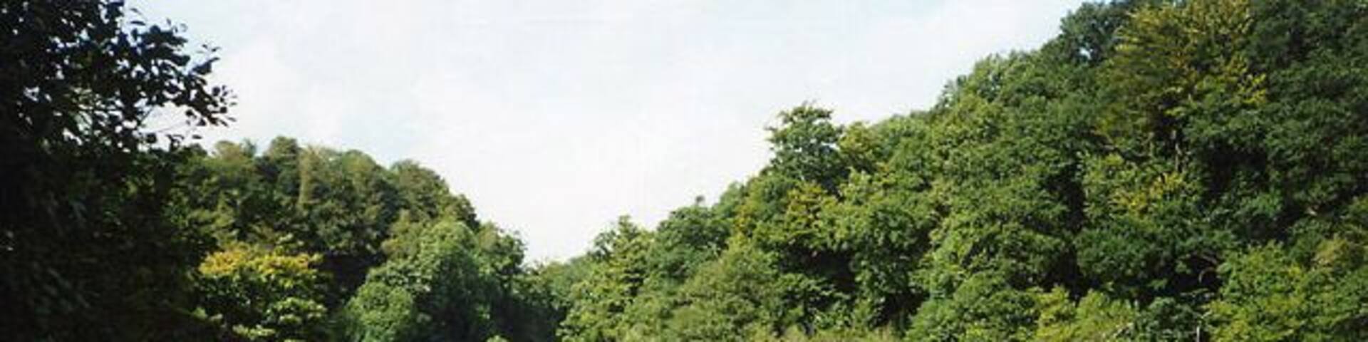 Ashprington: Bow Creek.